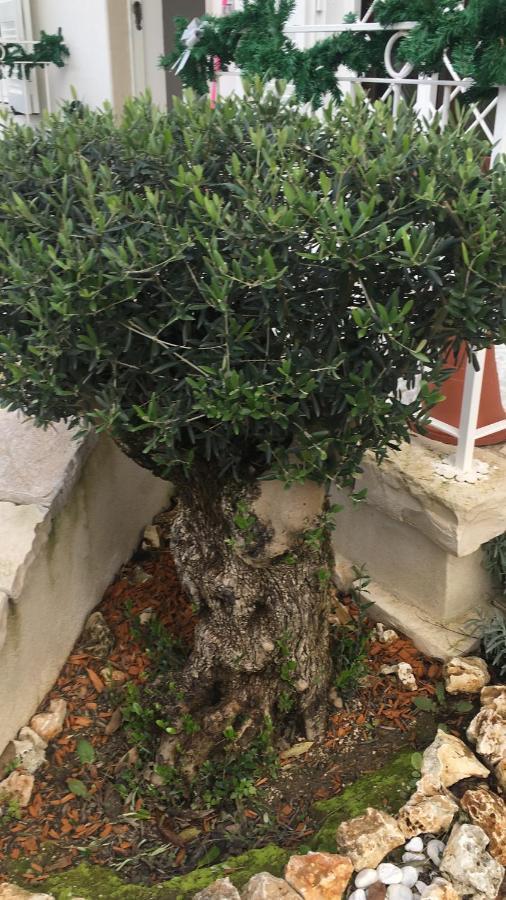 Il Casale Di Gio Bed & Breakfast Napoli Exterior foto